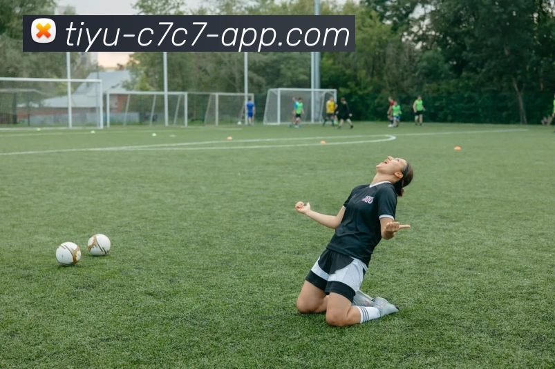 C7C7娱乐服务体系